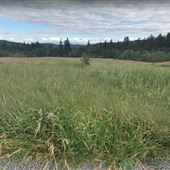 Powell Butte - Portland