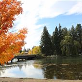 Pioneer Park