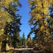 Fish Lake