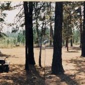 Sisters Cow Camp