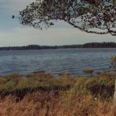 Dike Road, Hwy 101 N