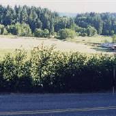 Dutch Canyon Road - Scappoose