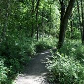 North Clackamas Central Park