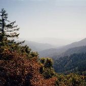 Shasta Costa Vista Point