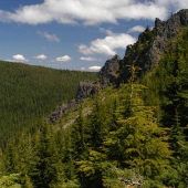 Zig Zag Ranger Distrct