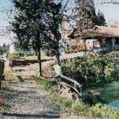 Aurora Trout Farm Pond