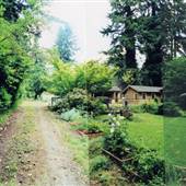 9th & 10th and B & C Alley - Lake Oswego