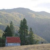 Wolfgang Rudolf Property