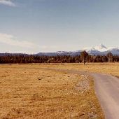 Central Oregon Mountain Views