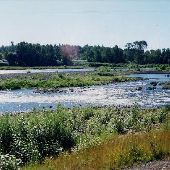 Clackamas River Gravel Islands