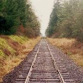 Dersham Road Railroad Crossing