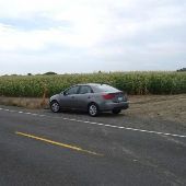Corn fields - Mountaindale Rd.