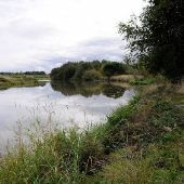 Sauvie Island - Oak Isle - Fazio