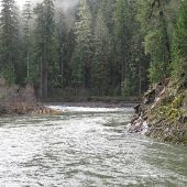 Clackamas River - Confluence & Fish Creek
