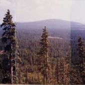 Fourmile Butte