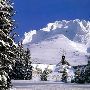 Timberline Lodge