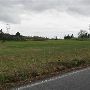 Washington County fields - March