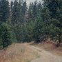 Beatty Creek District - Dillard Area
