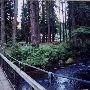 Metzler Park