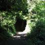 Silver Falls State Park