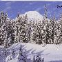 Mount Hood