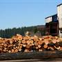 Stimson Lumber mill - Forest Grove