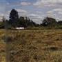 Canby Area Crops
