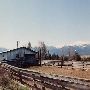 Wayne Cook Stockyards