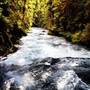 McKenzie River