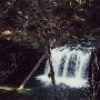 Butte Creek Falls