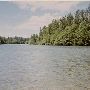 McKenzie River