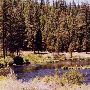 Metolius River