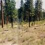 Metolius River