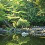 Lithia Park
