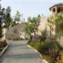 Belle Fiore Winery