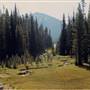Sparks Lake