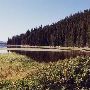 Sparks Lake