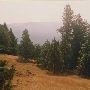 Tiller Forest District - Umpqua National Forest