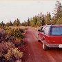 Road #111 Meadow Camp
