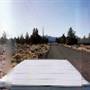 Larch Drive - Redmond