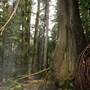 Old Salmon River Trail