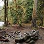 Old Salmon River Trail