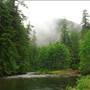 Old Salmon River Trail