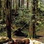 Old Salmon River Trail