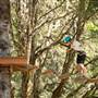 Tree To Tree Adventure Park