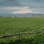 Ashbrook Farm