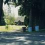 Lacamas Lake Cabins