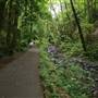 Lower Macleay Park