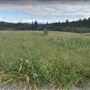 Powell Butte - Portland