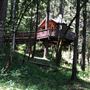 Vertical Horizons Treehouse Paradise